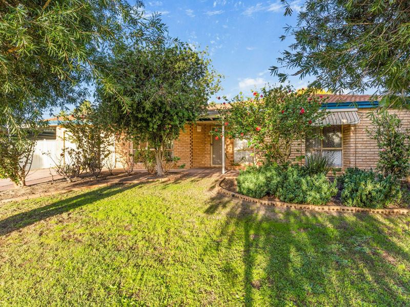 11 Dancy Way, Seville Grove WA 6112