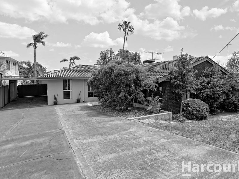 10 Scrivener Place, Halls Head WA 6210