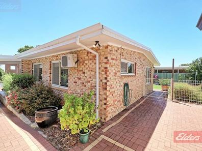 79 Furnival  Street, Narrogin WA 6312