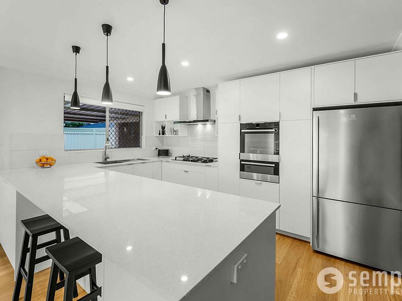 42 Torenia Way, Yangebup