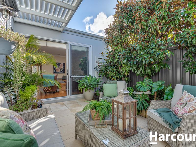 24 Mountain Street, Banksia Grove