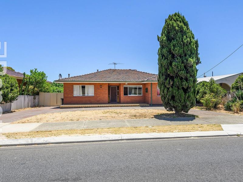 11 Morrison Road, Woodbridge