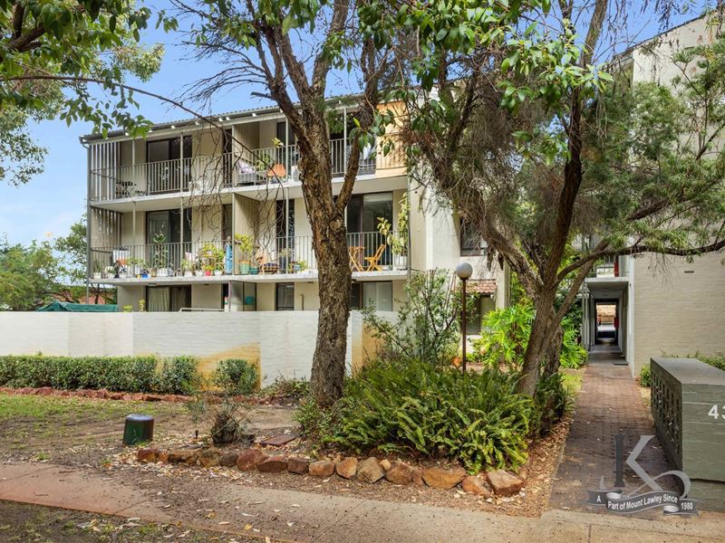 17/43 First Avenue, Mount Lawley WA 6050