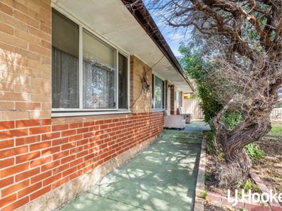 7 Roebuck Street, Innaloo WA 6018