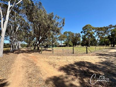 16 Muresk Road, Muluckine, Northam WA 6401