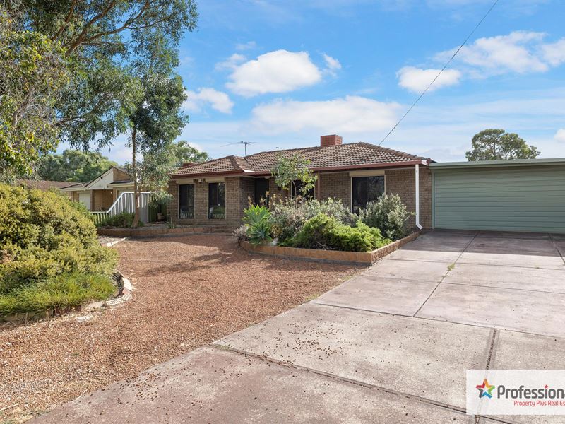 9 Craigie Place, Seville Grove WA 6112