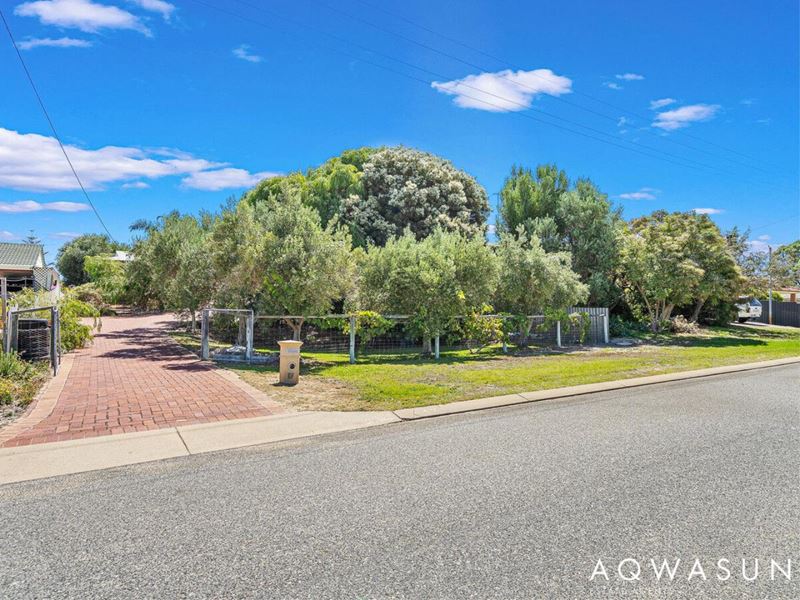 17 Fanning Way, Singleton