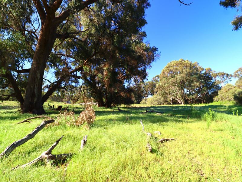 54 Outridge Road, Baldivis WA 6171