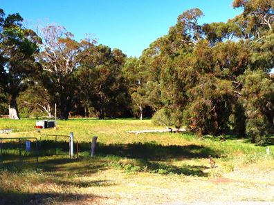 54 Outridge Road, Baldivis WA 6171