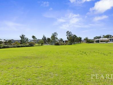 20 Litton Street, Baldivis WA 6171