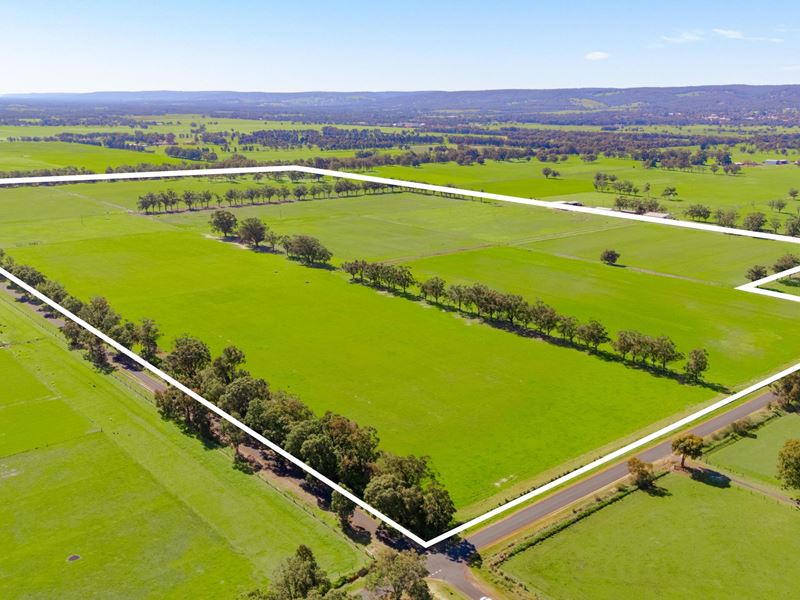 Buller Road, Hamel