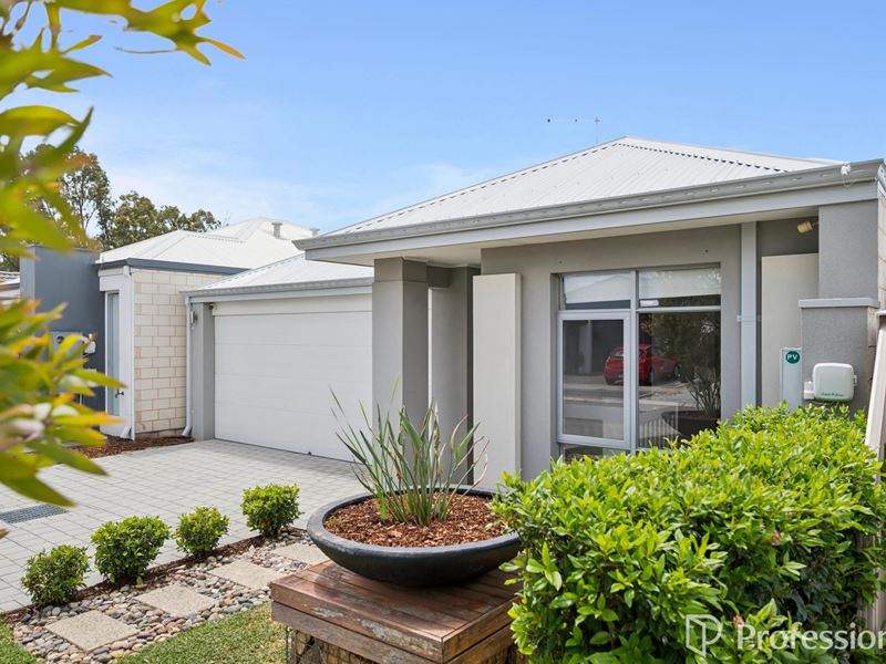 8 Brush Street, Hilbert WA 6112
