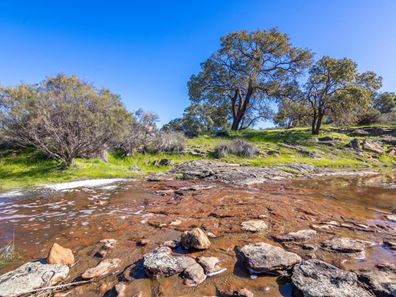 55 Pen Road, Warradarge WA 6518
