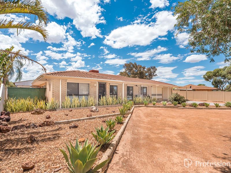 44 Pinyali Way, Waggrakine WA 6530