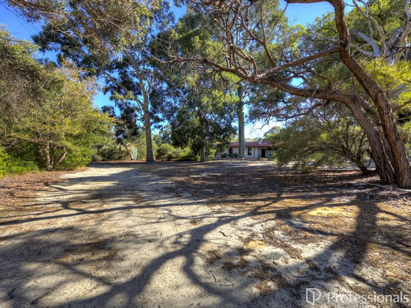 37 Ridley Road, Wattle Grove