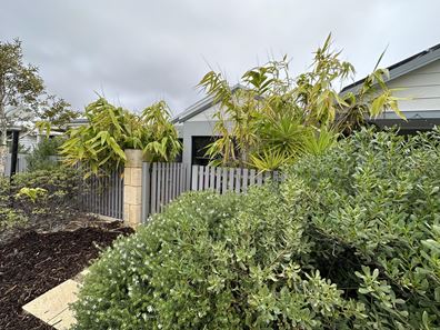 6 Spiny Lane, Alkimos WA 6038