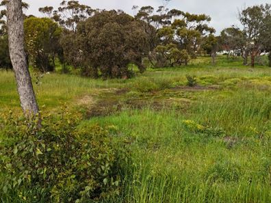 Lot 367,  Conroy Street, Katanning WA 6317