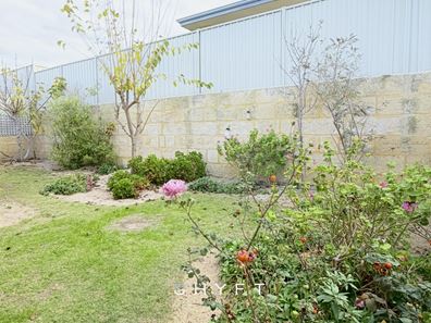 15 Explorer Street, Yanchep WA 6035