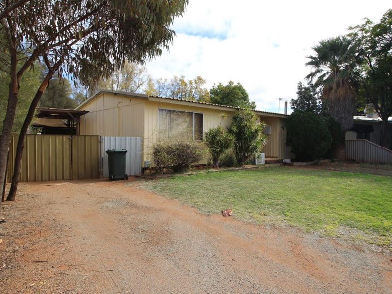 17 Hepburn Street, Mount Magnet WA 6638