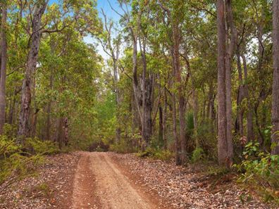 11664 Bussell Highway, Karridale WA 6288