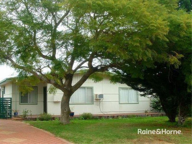 13 Loxton Street, Dudley Park
