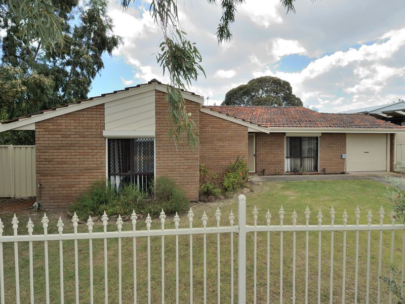 17 Saddlehill Ramble, Ballajura