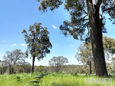 1 Oro Road, Dwellingup WA 6213