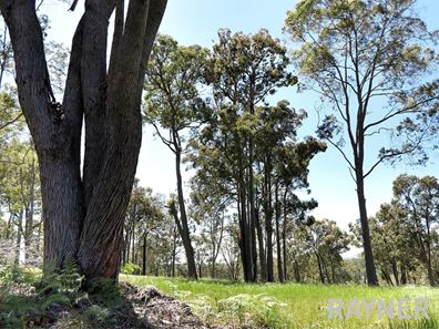 1 Oro Road, Dwellingup WA 6213