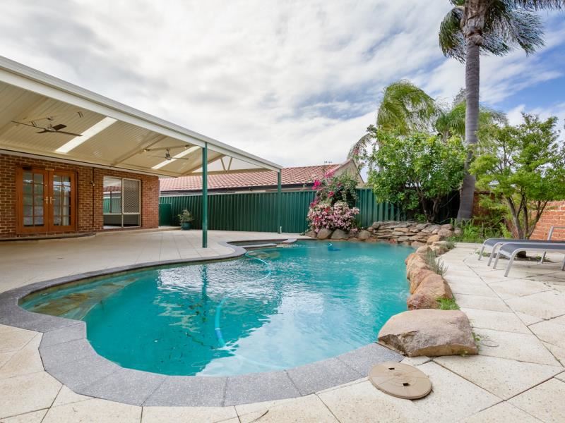 11 Caladenia Place, Canning Vale