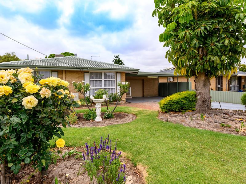 21 Holmwood Way, Embleton