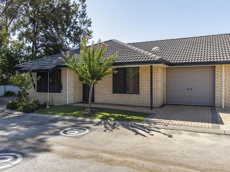94/27 Pearson Drive, Success