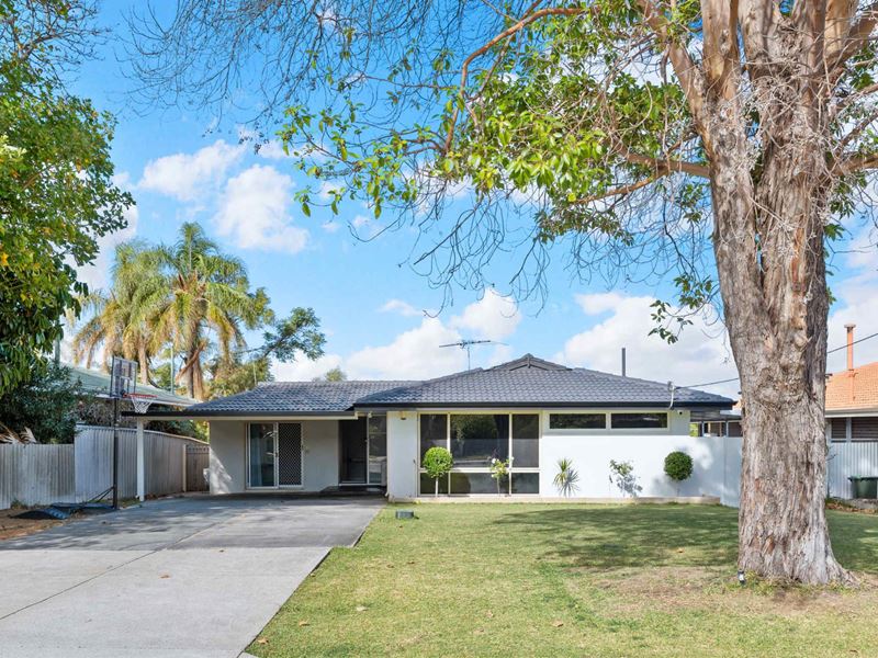 46 Campsbourne Street, Balcatta