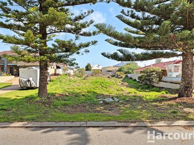 29 Treasure Road, Singleton WA 6175