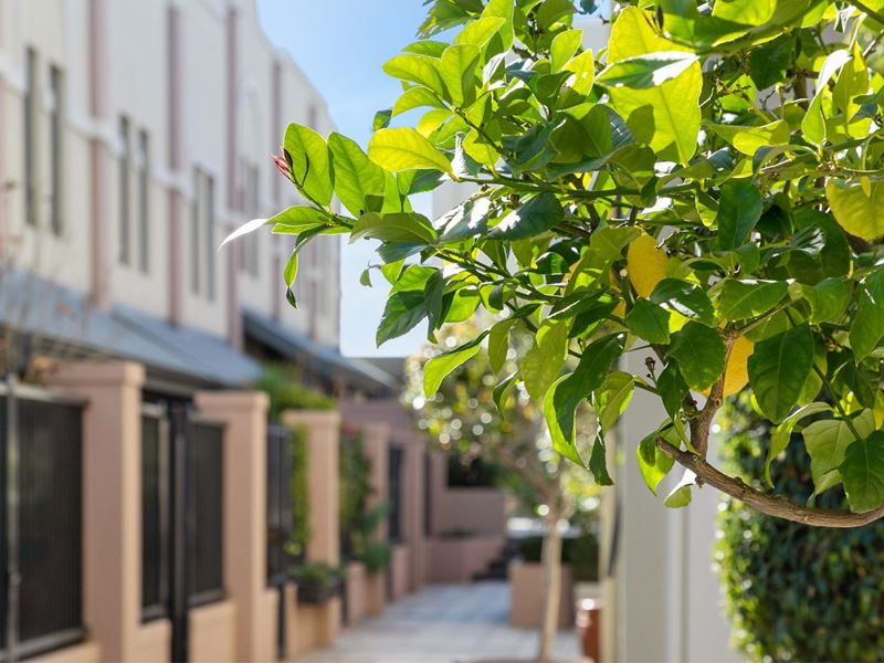 73/1 Station Street, Subiaco