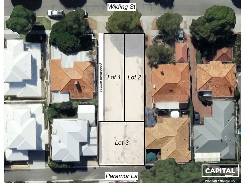 171a,b,c Wilding, Doubleview