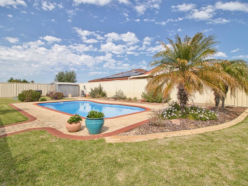 25 Woodbridge Drive, Cooloongup