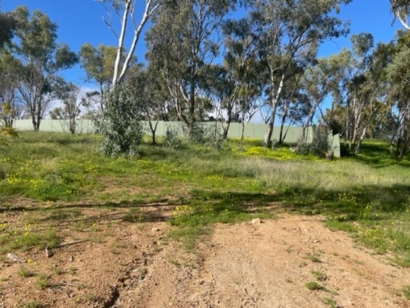 36 Arundle Avenue, Greenmount