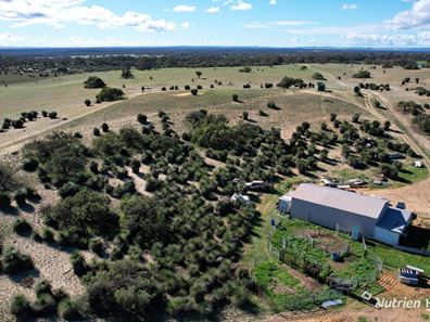 Lot 249 Nabaroo Road, Cowalla WA 6503