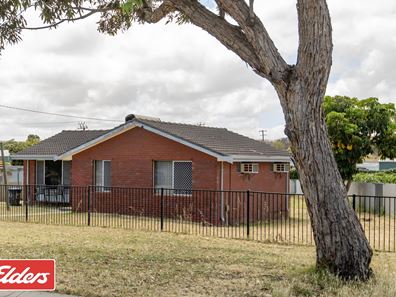 3 Hammond Place, Spalding WA 6530