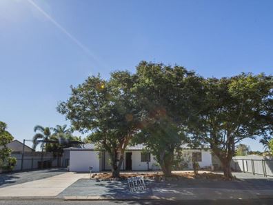 41 Radley Drive, Baynton WA 6714