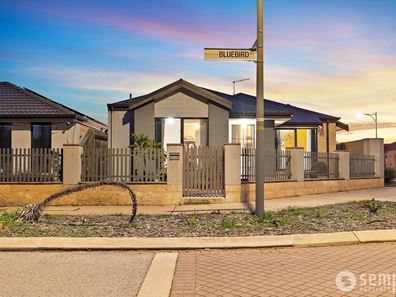 53 Bluebird Street, Wellard WA 6170