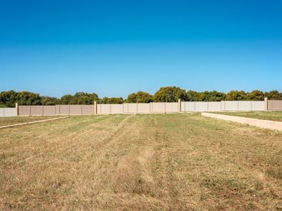 27 Eurithmic Link, Wandina WA 6530