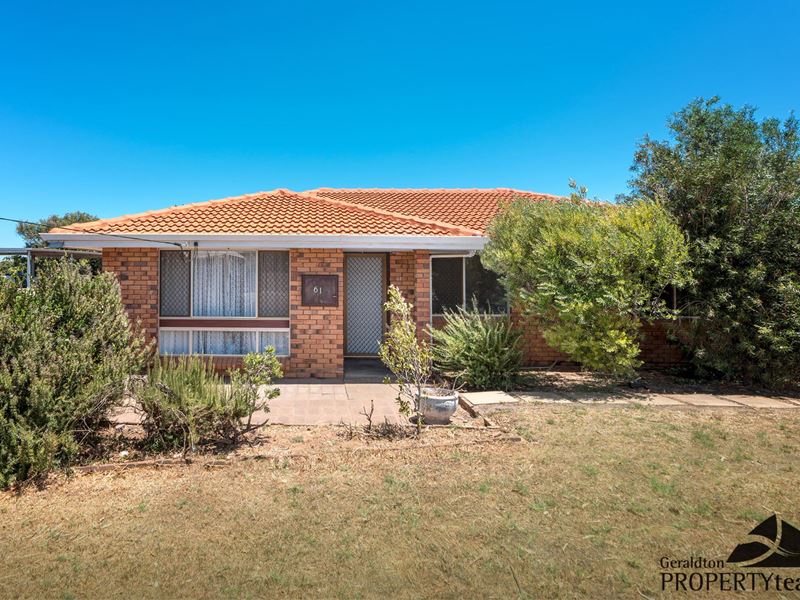 61 Drew Street, Spalding WA 6530