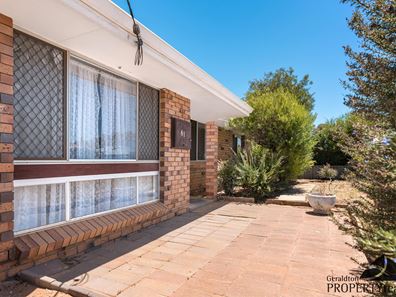 61 Drew Street, Spalding WA 6530