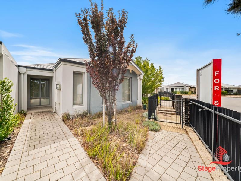 49 Wattleseed Avenue, Treeby