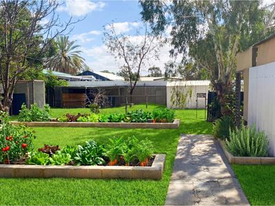 4 Gamenya Avenue, Merredin WA 6415