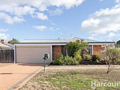 1 Castilloa Court, Halls Head WA 6210