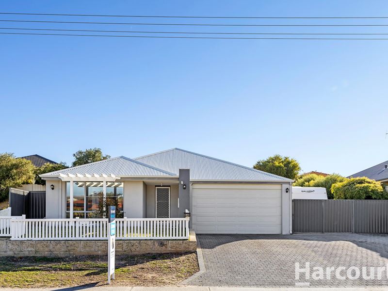 93 Murdoch Drive, Singleton