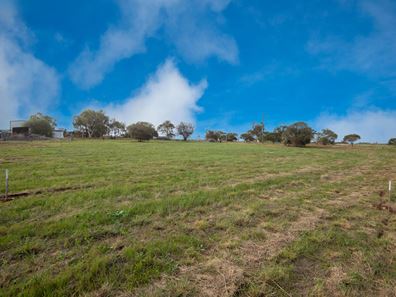 19 Forrest Street, Northampton WA 6535