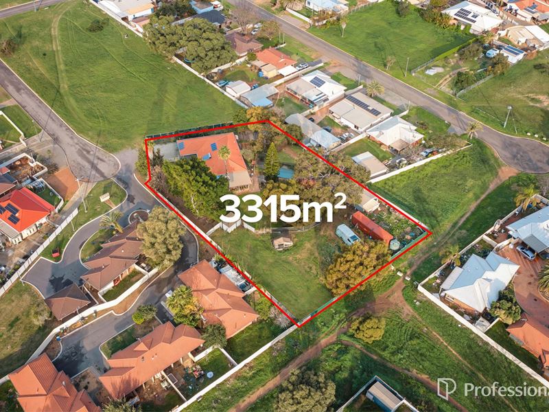9 Craine Place, Spalding WA 6530